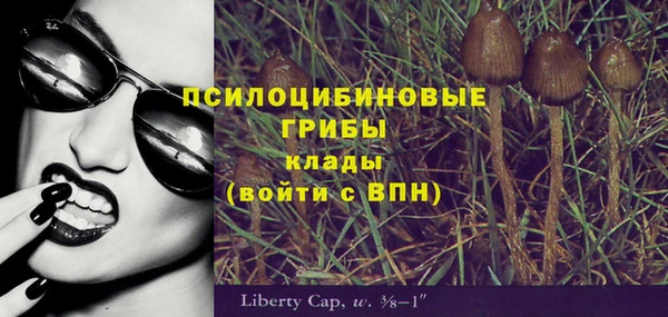 таблы Алзамай