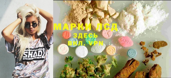 тгк Абаза
