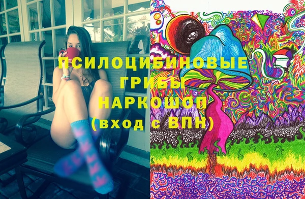тгк Абаза